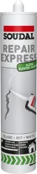 Repair Express Plaster 290ml
